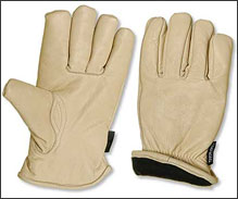 Designer Premium Gloves