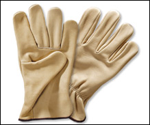 Colored Premium Gloves